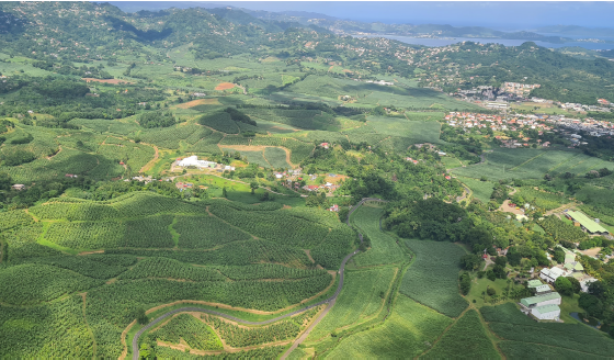 Paysage de Martinique